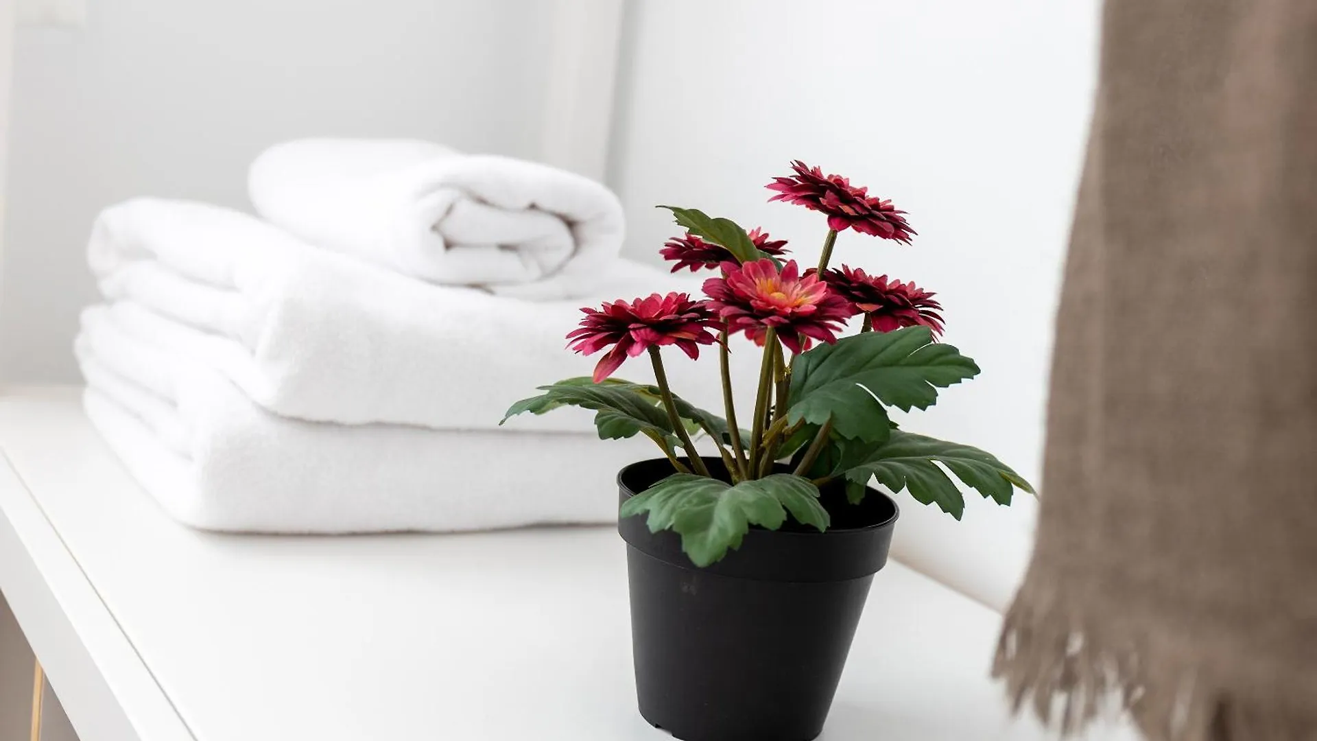 Apartmán Piso Centrico Y Elegante Granada Španělsko